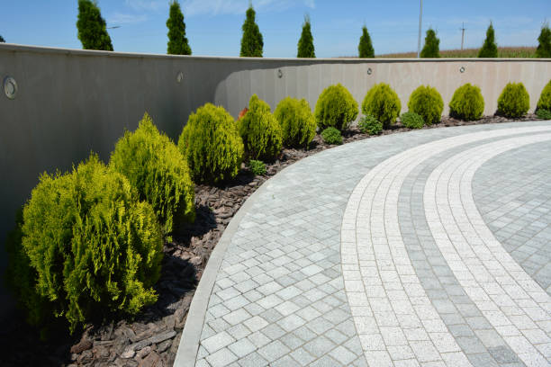 Reasons to Select Us for Your Driveway Paving Requirements in Marina Del Rey, CA